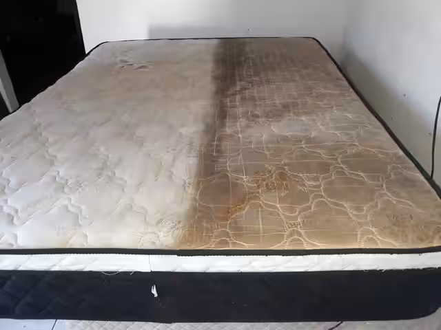Limpeza de Cama (Colchão)